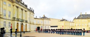 garda amalienborg pentru color net