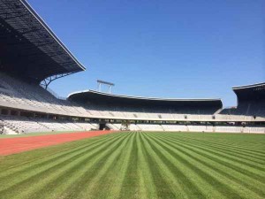 gazon Cluj Arena