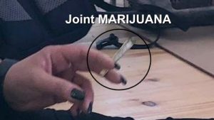 Joint_400x